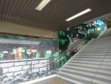 66f7d791.jpg