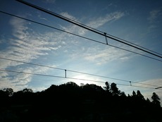 69f33d06.jpg