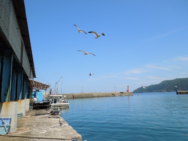 DSCN0927