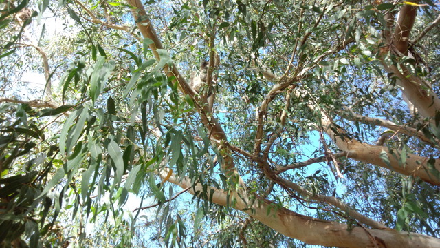 703d0978.jpg