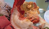 CA392028