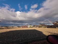 DSC_0739