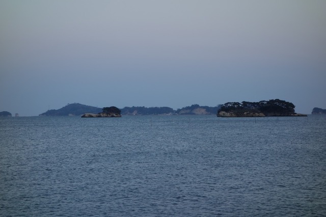 DSC03881