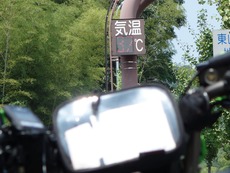 7731856b.jpg