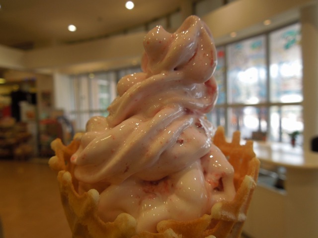 DSCN0464