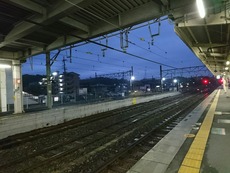 79bcc355.jpg