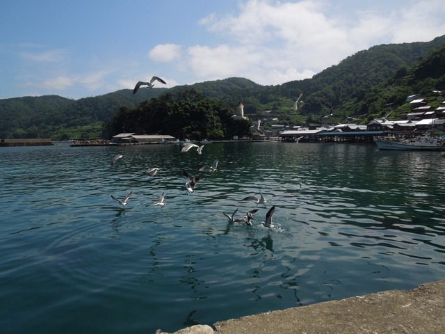 DSCN0924