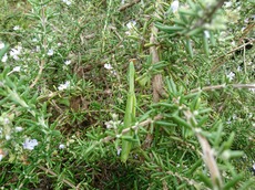 871f0d05.jpg
