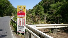 910b065d.jpg
