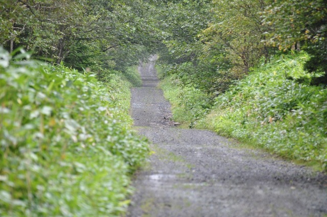 DSC_9097