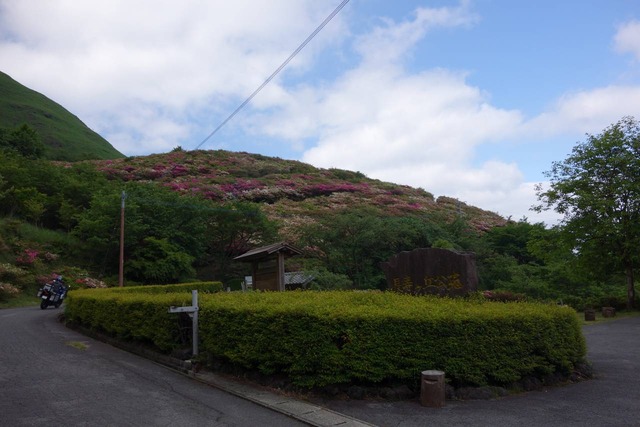 DSC09848