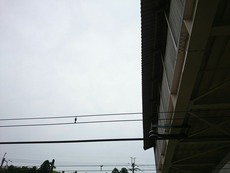 95b83555.jpg