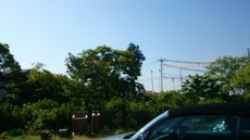 961d9b37.jpg