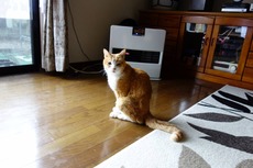 DSC02689