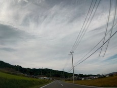 DSC_0105