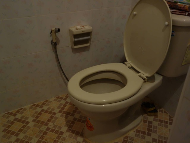 DSC05431