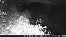 SnapCrab_NoName_2021-9-1_11-8-56_No-00