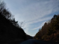 DSC_7775