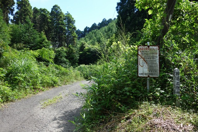 DSC04580