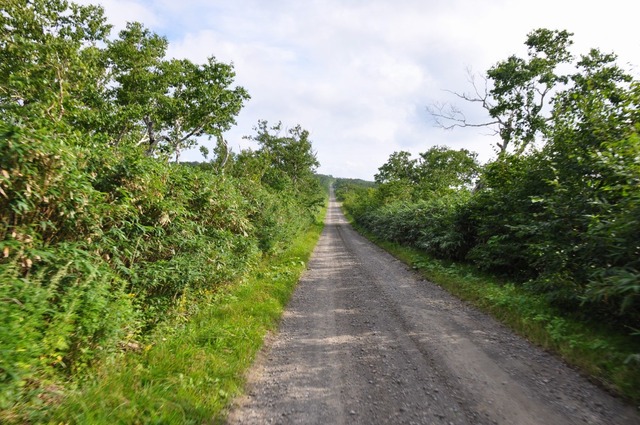 DSC_1986