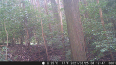 SnapCrab_NoName_2021-9-6_10-5-58_No-00