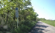 a751a1a5.jpg