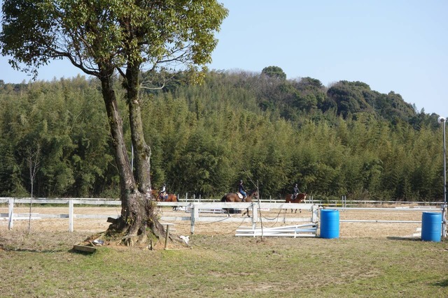 DSC09072