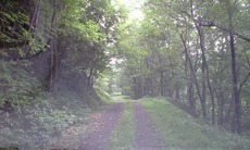 c064bfa0.jpg