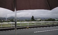 c0ae2f87.jpg