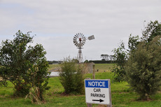 DSC_6600