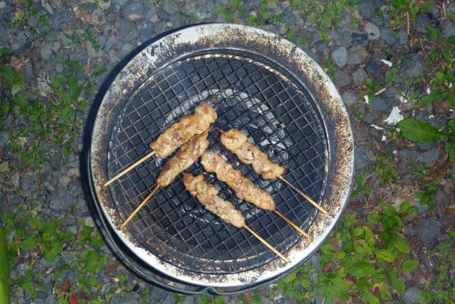P1050603