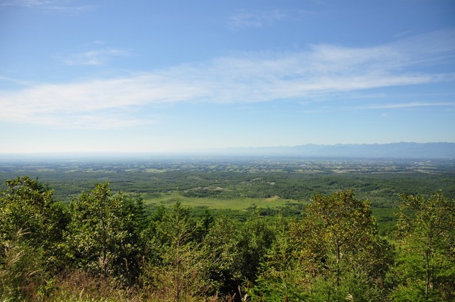 DSC_1539