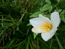 DSC_8238