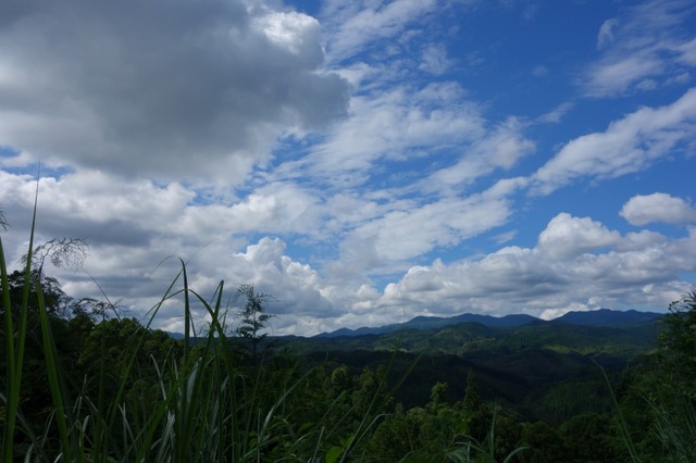 DSC04581