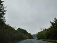 DSC_5856