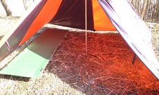 CA397546