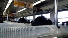 e183a25e.jpg