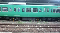e704e5cd.jpg