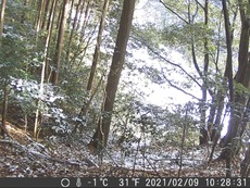 DSC_0060aaaa