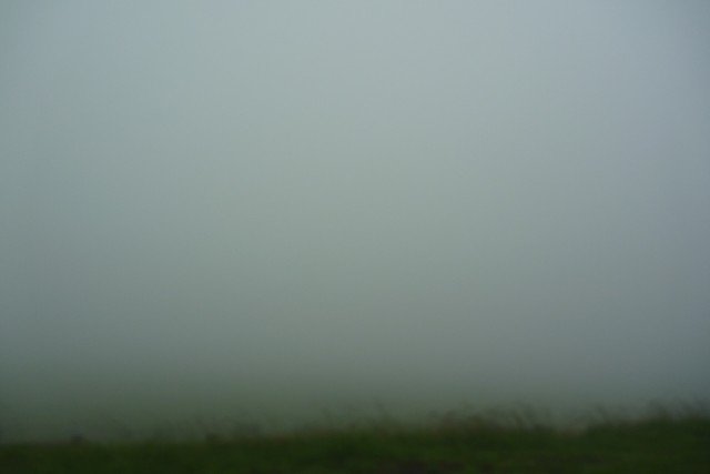 P1050139