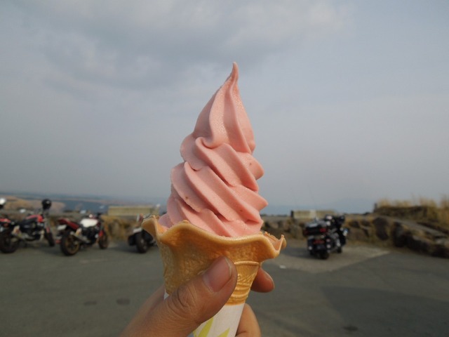 DSCN0529