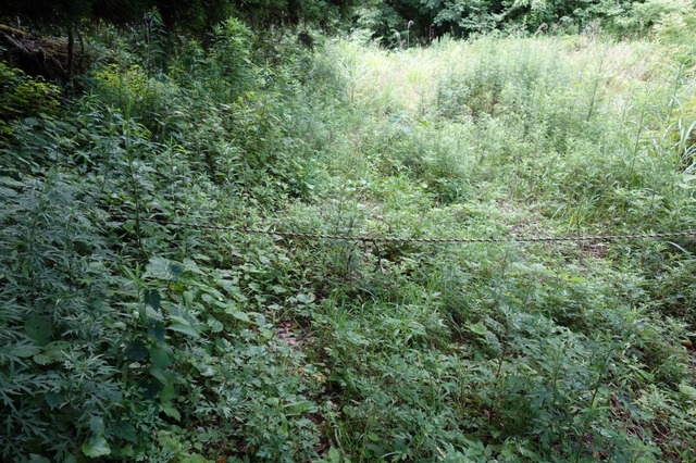 DSC04571