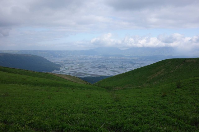 DSC09861