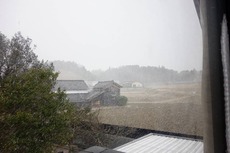DSC02960