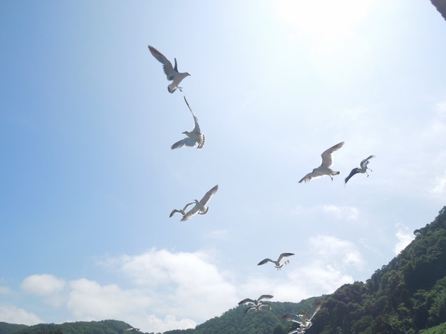 DSCN0926