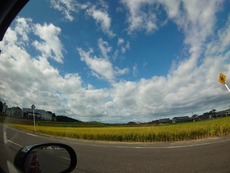 DSC_0988