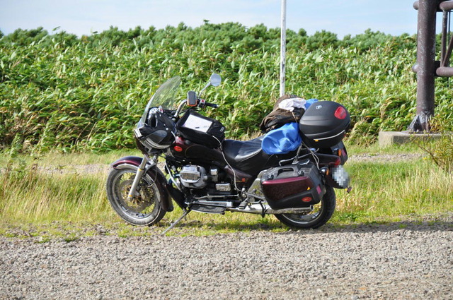 DSC_1971