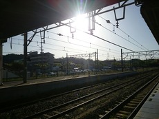 ff383517.jpg