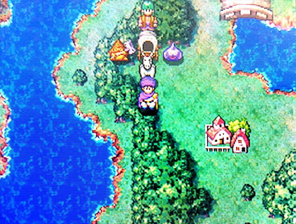 Ds ドラゴンクエスト5 天空の花嫁 その1 水色の笹音 Ds ドラゴンクエスト5 天空の花嫁 その1 水色の笹音