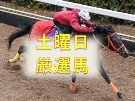 土曜日厳選馬